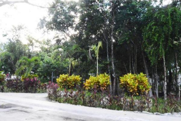 莫雷洛斯港La Casa Del Arbol -4Bed 3 Bath别墅 外观 照片