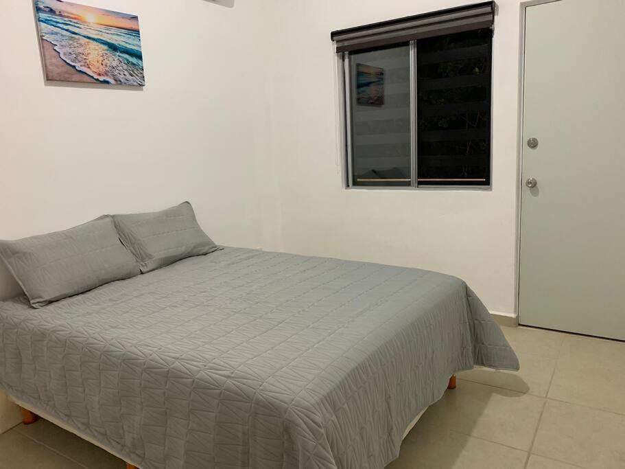 莫雷洛斯港La Casa Del Arbol -4Bed 3 Bath别墅 外观 照片